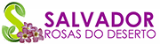 Tudo para sua rosa do deserto